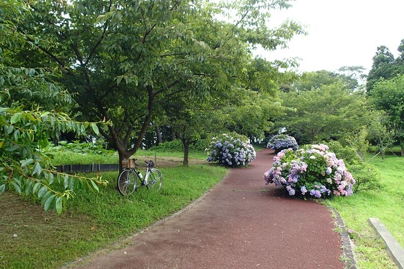 P7300011 - コピー