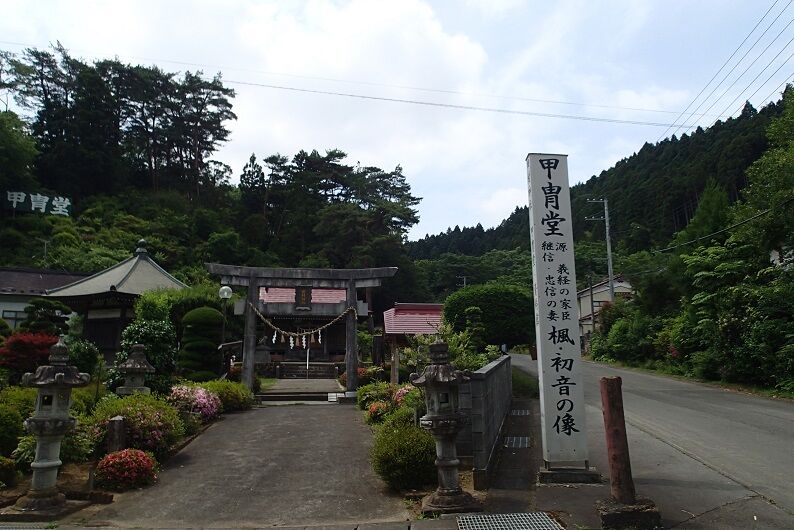 P6210027 - コピー