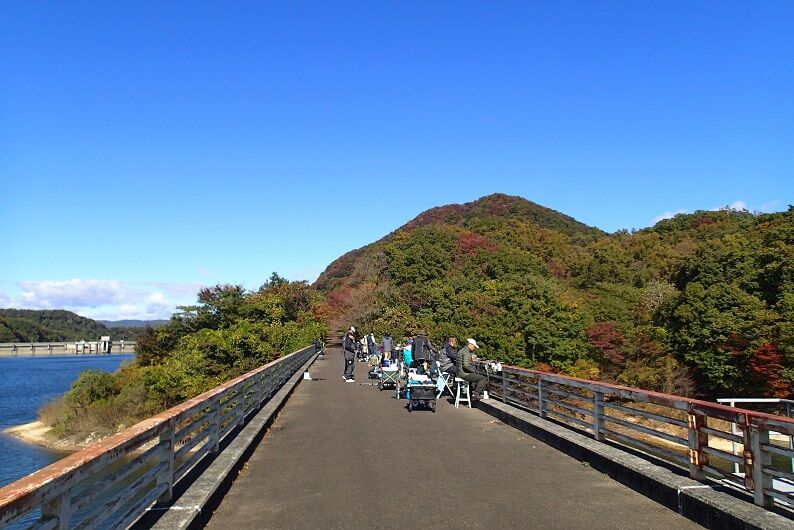PA300078 - コピー
