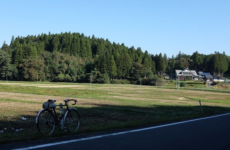 DSCF8519 - コピー