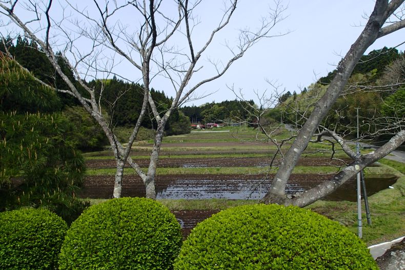 岩出12