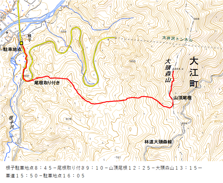 大頭森山2024(2)