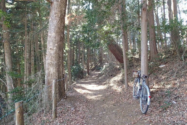 P3050076 - コピー