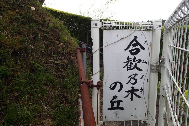 岩出10