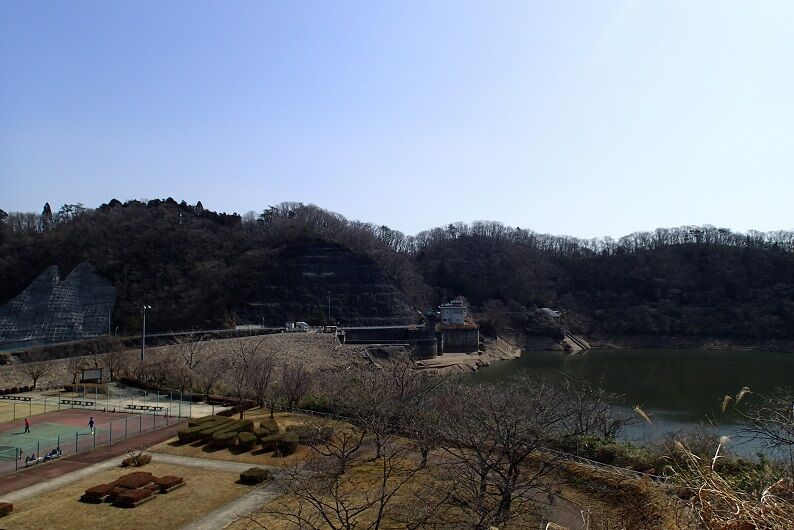 P3110044 - コピー
