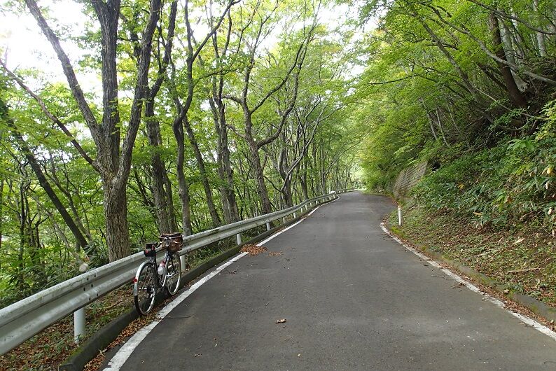 PA120042 - コピー