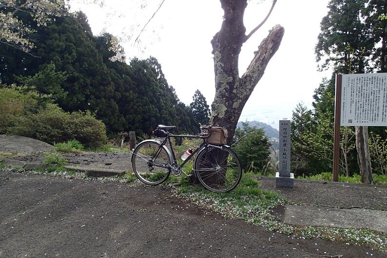 P4230074 - コピー