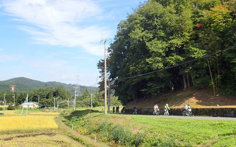 PA150067 - コピー