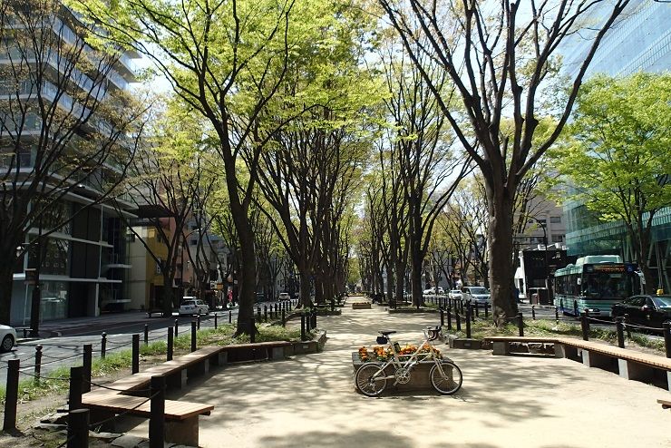 P4230062 - コピー