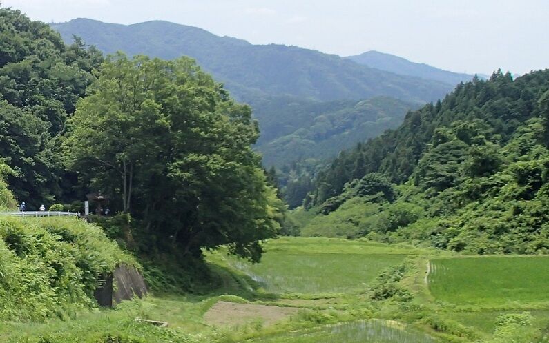 P6210038 - コピー