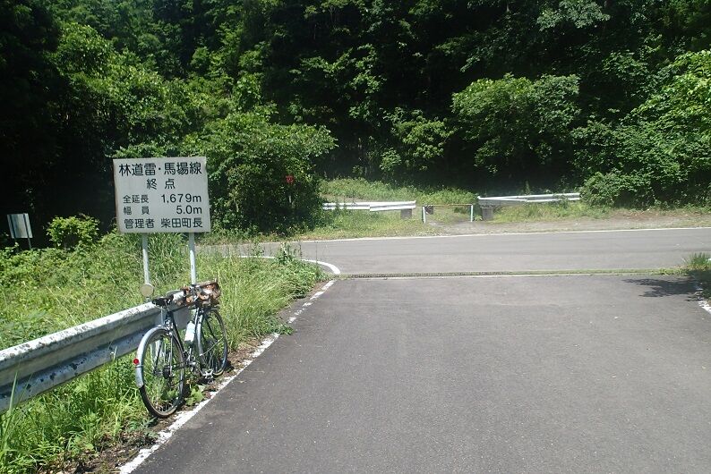P6170095 - コピー