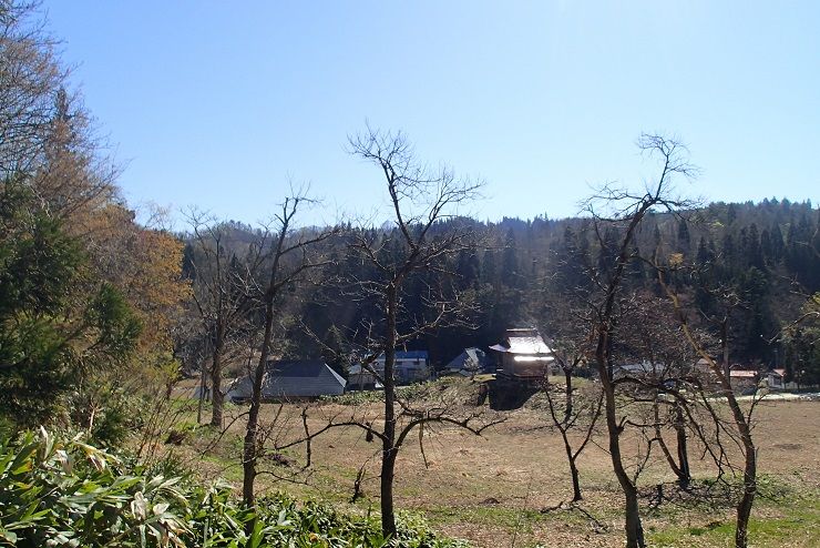 P4290069 - コピー