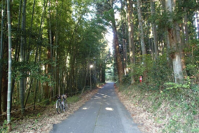 PA300005 - コピー