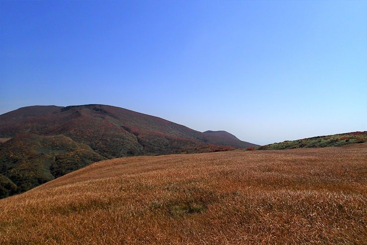PA020077 - コピー