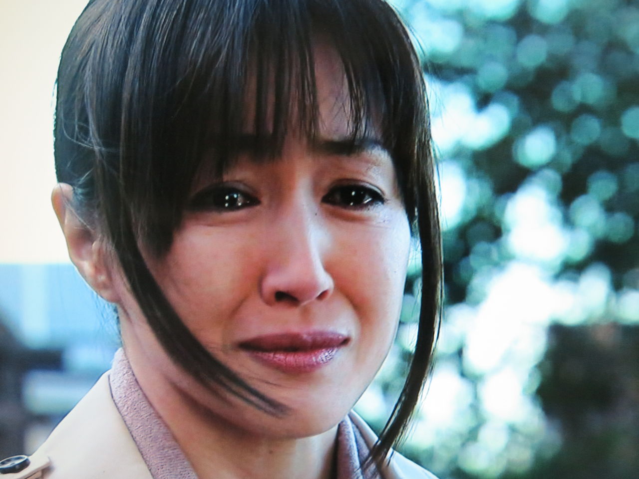 日 高島礼子 監察医 篠宮葉月 アルプス通信 魅惑の山々 日 高島礼子 監察医 篠宮葉月 アルプス通信 魅惑の山々