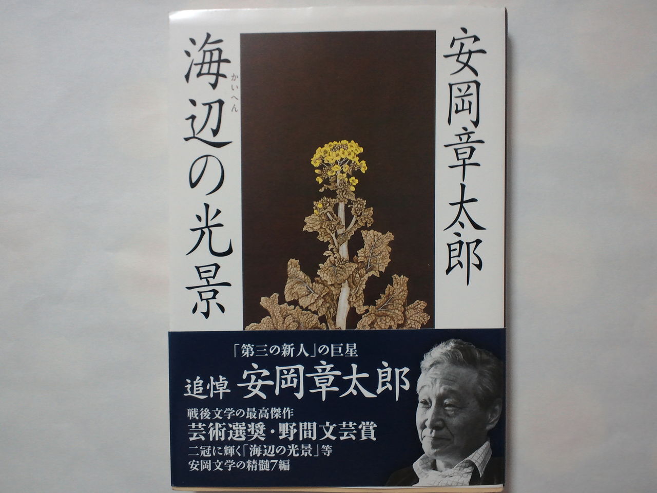 水 安岡章太郎 海辺の光景 新潮文庫 アルプス通信 魅惑の山々 水 安岡章太郎 海辺の光景 新潮文庫 アルプス通信 魅惑の山々