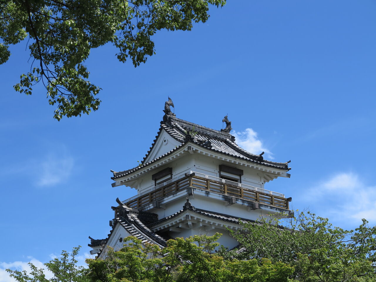 2702 土 杵築城 台山城 勝山城 臥牛城 アルプス通信 魅惑の山々 2702 土 杵築城 台山城 勝山城 臥牛城 アルプス通信 魅惑の山々