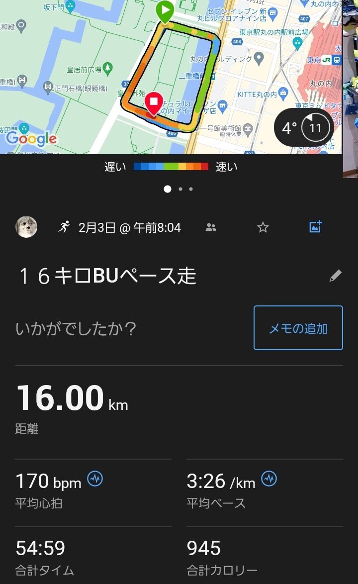 明日のTHE CHALLENGE RACE : アルスのマラソントレーニング日記 明日のTHE CHALLENGE RACE : アルスのマラソントレーニング日記