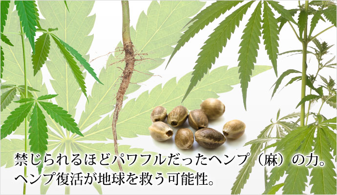 大麻規制の強化はなぜ問題なのか？」刑法学者が指摘する国民への影響とは