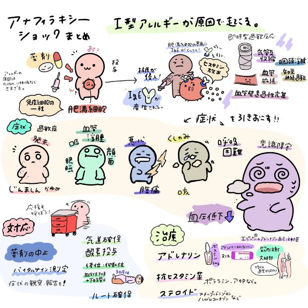 ビッグマックに含まれたアレルゲンが原因とされるアナフィラキシーショック、男性がマクドナルドを告訴