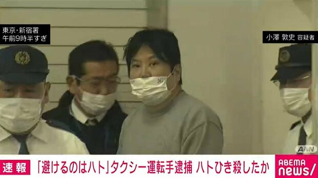 鳩の命を軽んじた運転手、野生保護法違反で逮捕！自然環境保全への意識改善が求められる