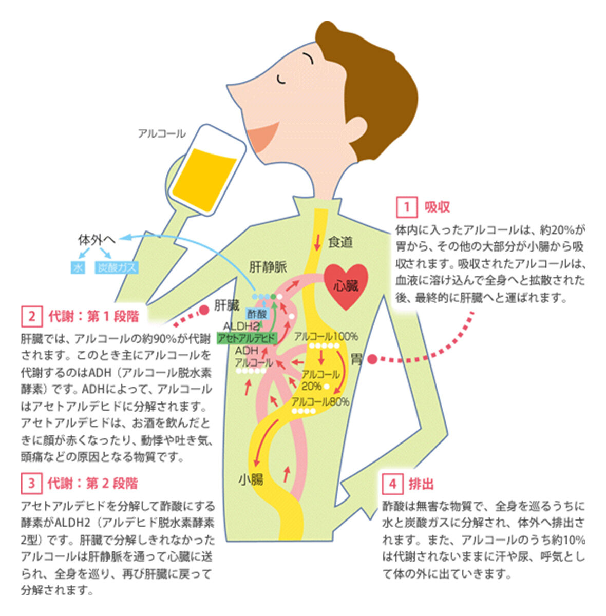 コンビニ駐車場での飲酒は法律違反なのか？警察の対応とは