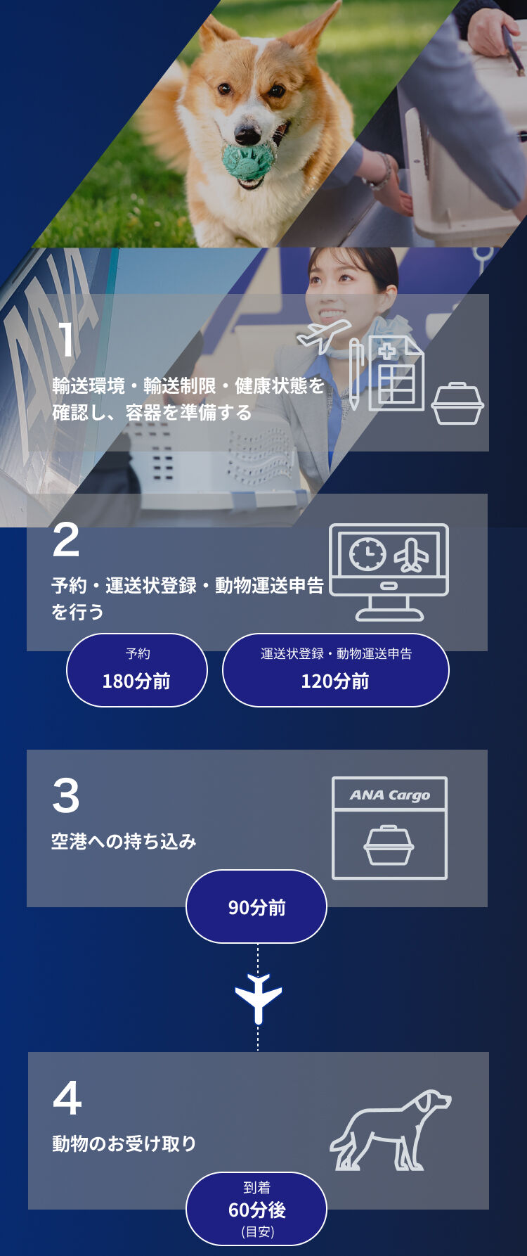 ペット法学の視点から見た羽田事故の教訓と今後の対策