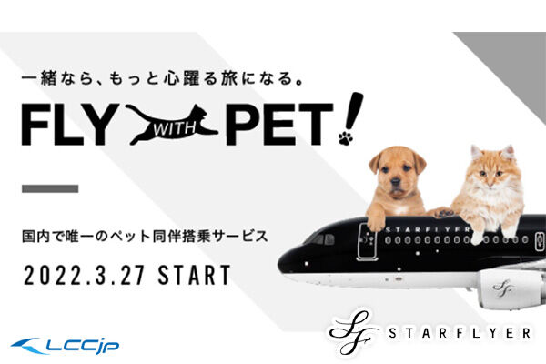 JAL機炎上でペット犠牲、同伴搭乗の必要性が浮き彫りに！オンライン署名が1.6万人を突破