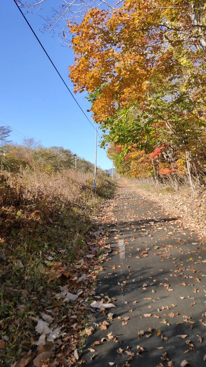 車と競馬と北海道の観光温泉 北海道の観光スポット