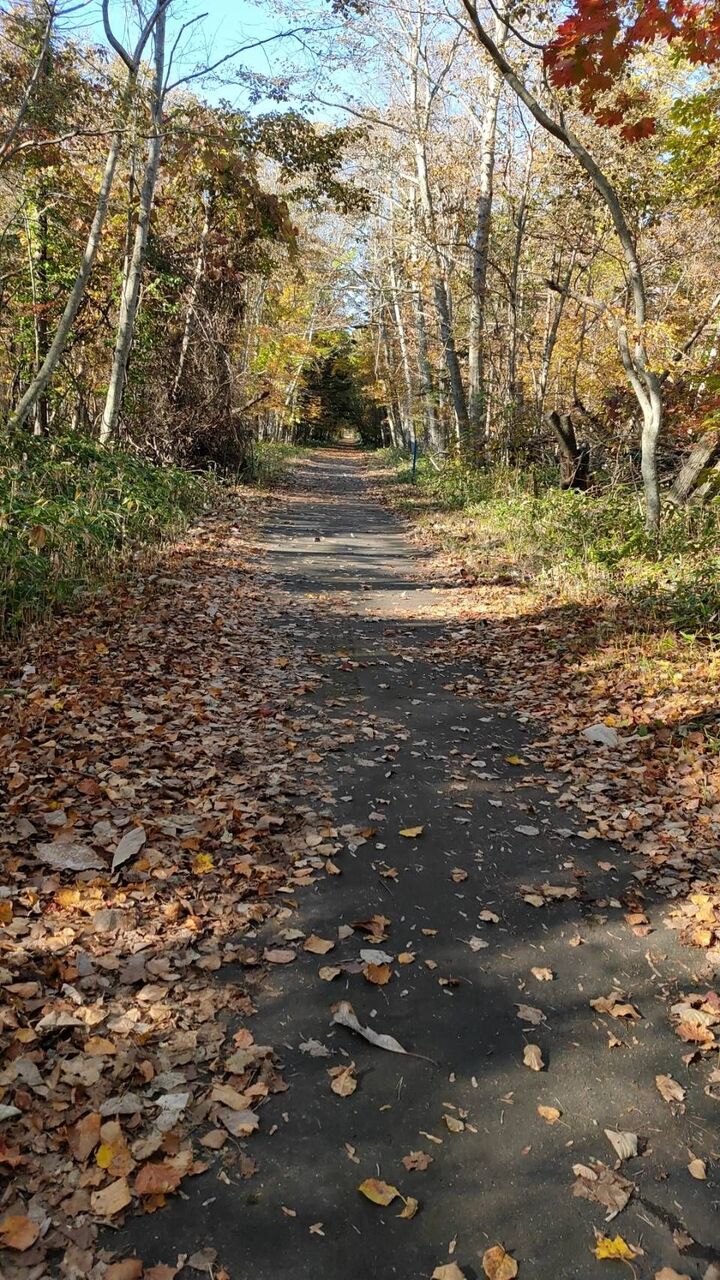 車と競馬と北海道の観光温泉 北海道の観光スポット