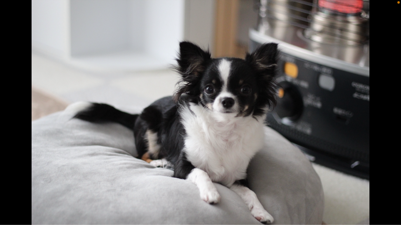 寒い日 岐阜市のデイサービス あるてあ です