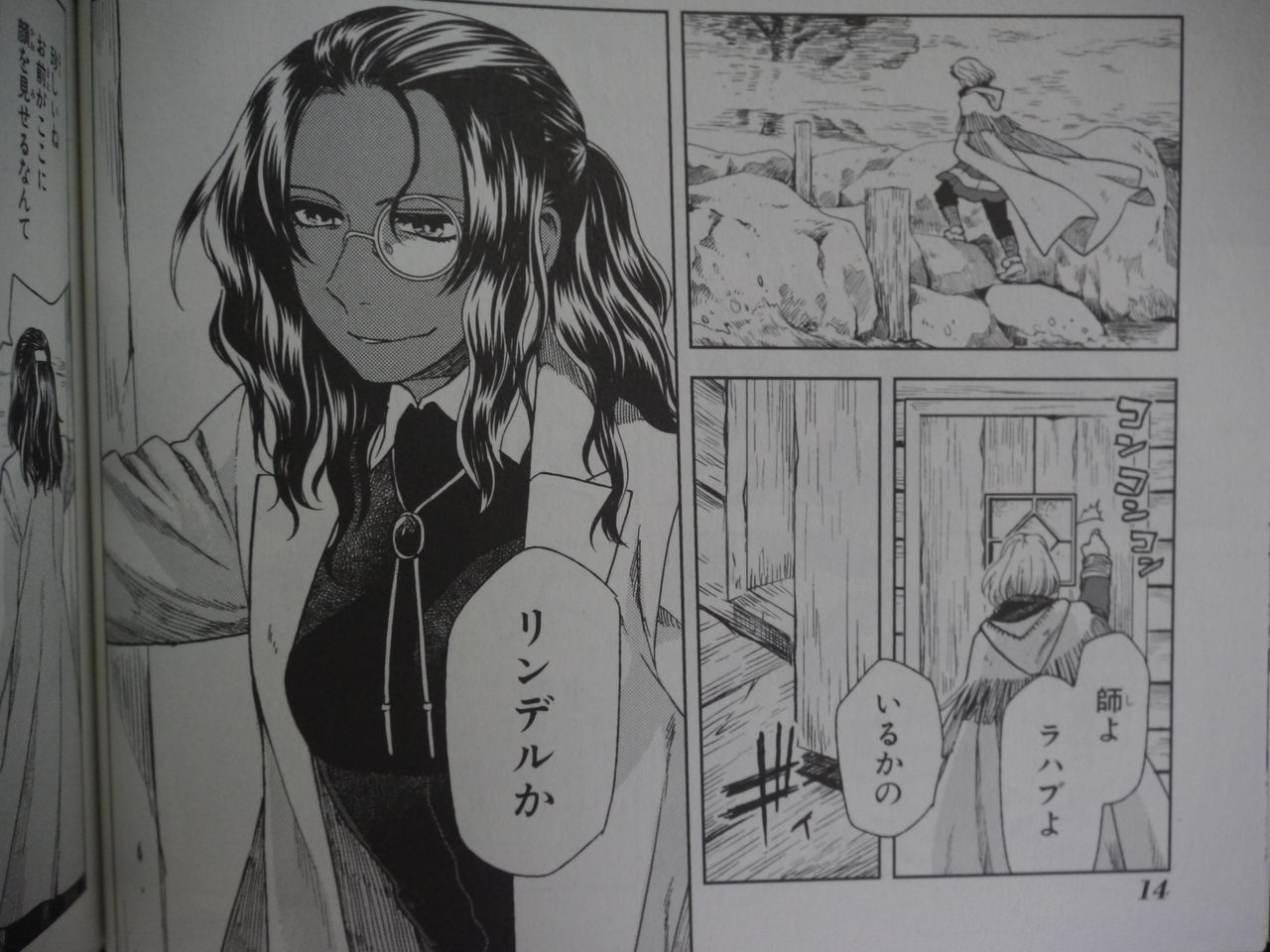 漫画 初回限定版 魔法使いの嫁 ４巻購入 姫騎士と従者の日常