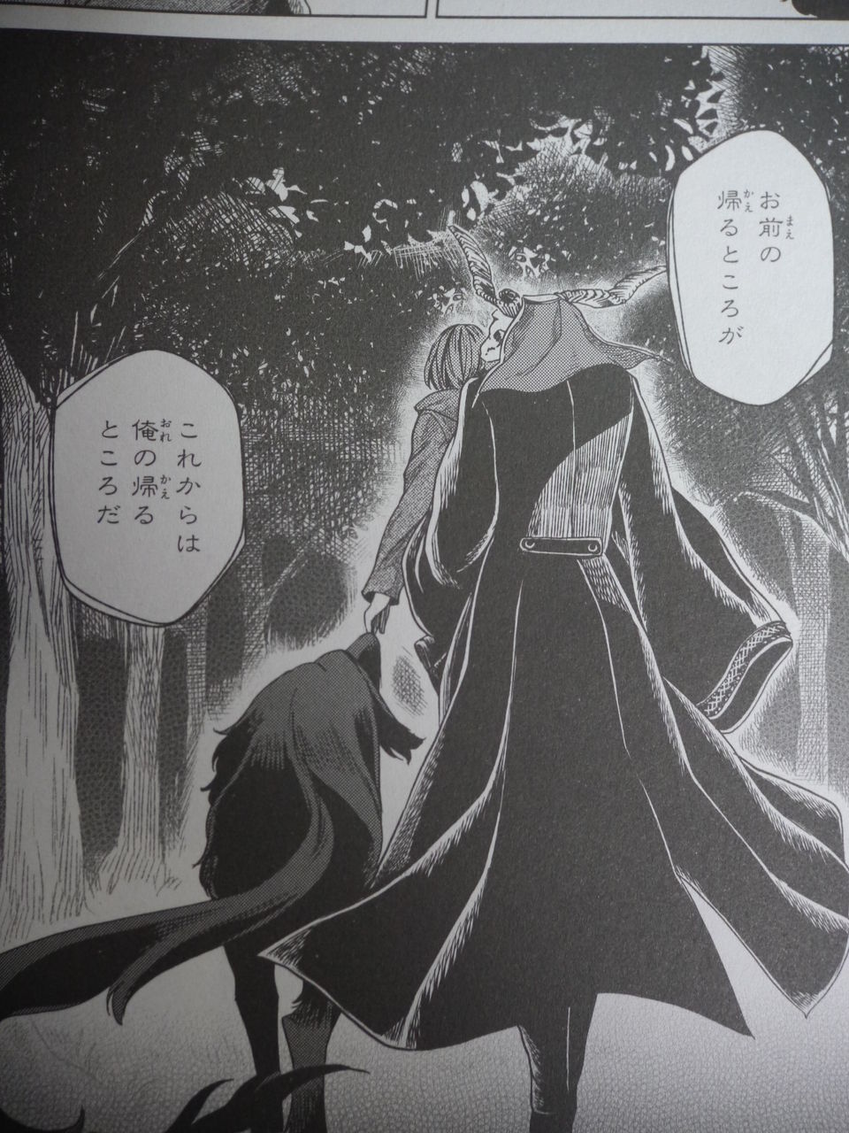 漫画 初回限定版 魔法使いの嫁 3巻購入 姫騎士と従者の日常 漫画 初回限定版 魔法使いの嫁 3巻購入 姫騎士と従者の日常