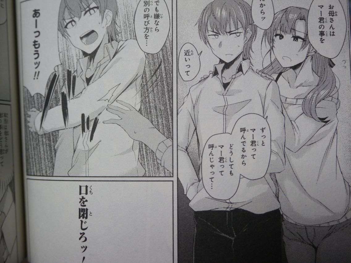 漫画 通常攻撃が全体攻撃で二回攻撃のお母さんは好きですか 1巻買いました 姫騎士と従者の日常