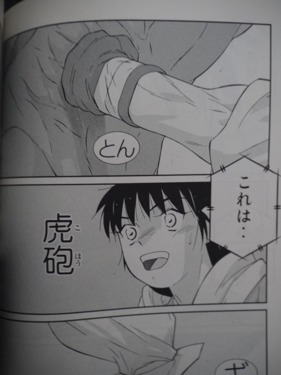 新刊漫画 修羅の門購入 姫騎士と従者の日常 新刊漫画 修羅の門購入 姫騎士と従者の日常