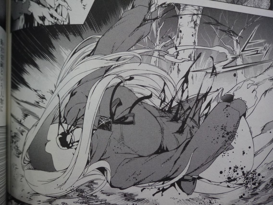 新刊漫画 Fate Zero 彼岸花の買いました 姫騎士と従者の日常 新刊漫画 Fate Zero 彼岸花の買いました 姫騎士と従者の日常