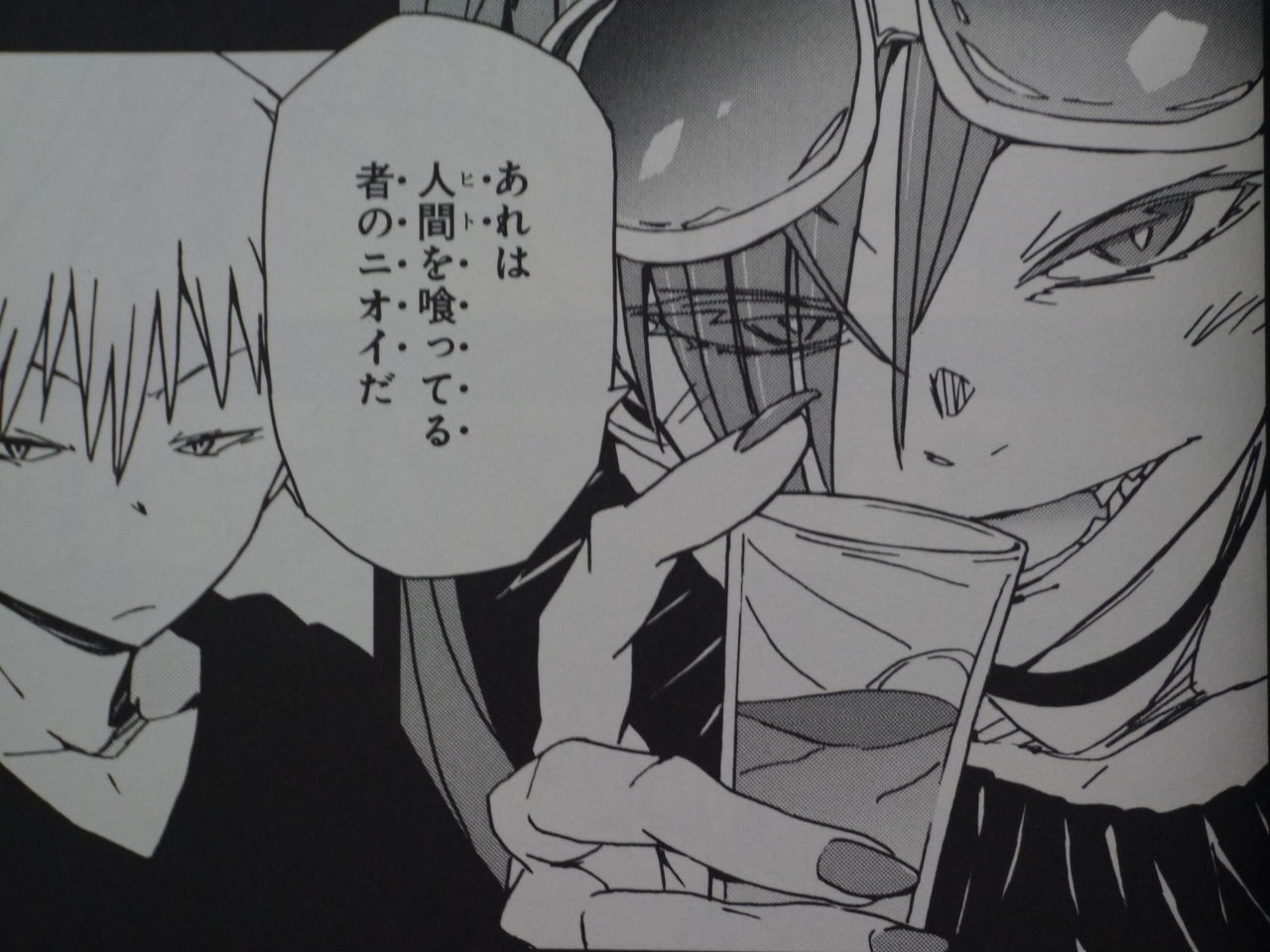 新刊漫画 危ノーマル系女子 2巻購入 姫騎士と従者の日常