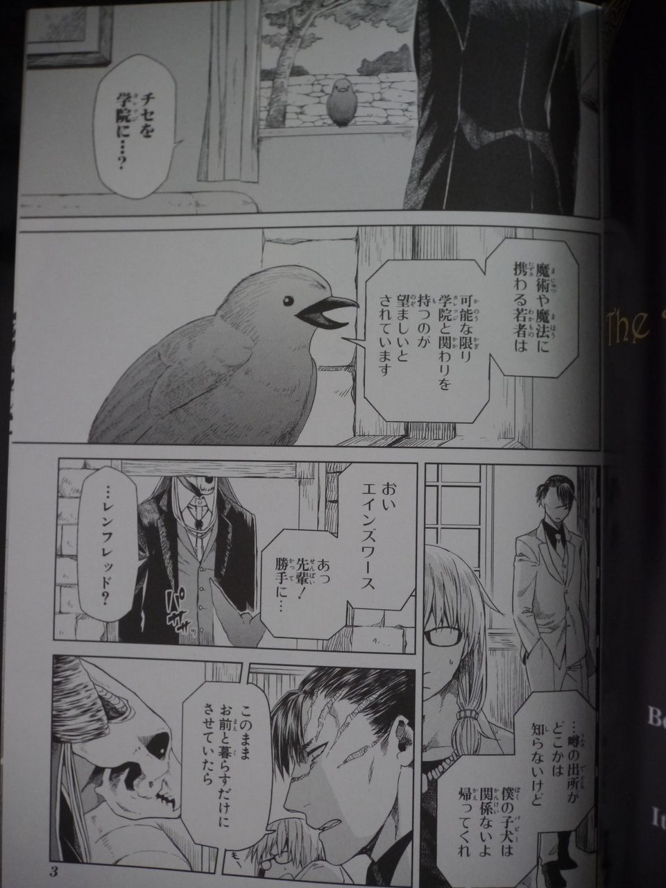 漫画 初回限定版 魔法使いの嫁 4巻購入 姫騎士と従者の日常 漫画 初回限定版 魔法使いの嫁 4巻購入 姫騎士と従者の日常