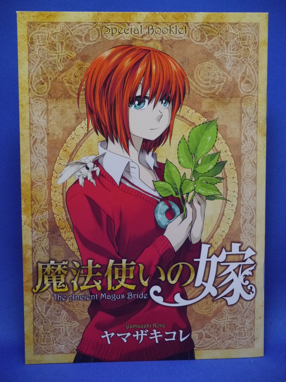 新刊漫画 魔法使いの嫁 2巻購入 姫騎士と従者の日常 新刊漫画 魔法使いの嫁 2巻購入 姫騎士と従者の日常