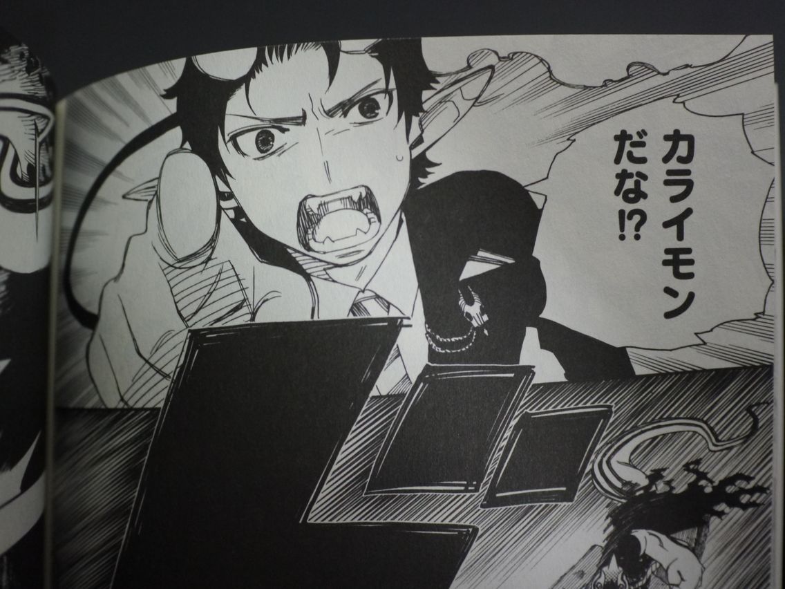 新刊漫画 青の祓魔師も読み終えた 姫騎士と従者の日常 新刊漫画 青の祓魔師も読み終えた 姫騎士と従者の日常