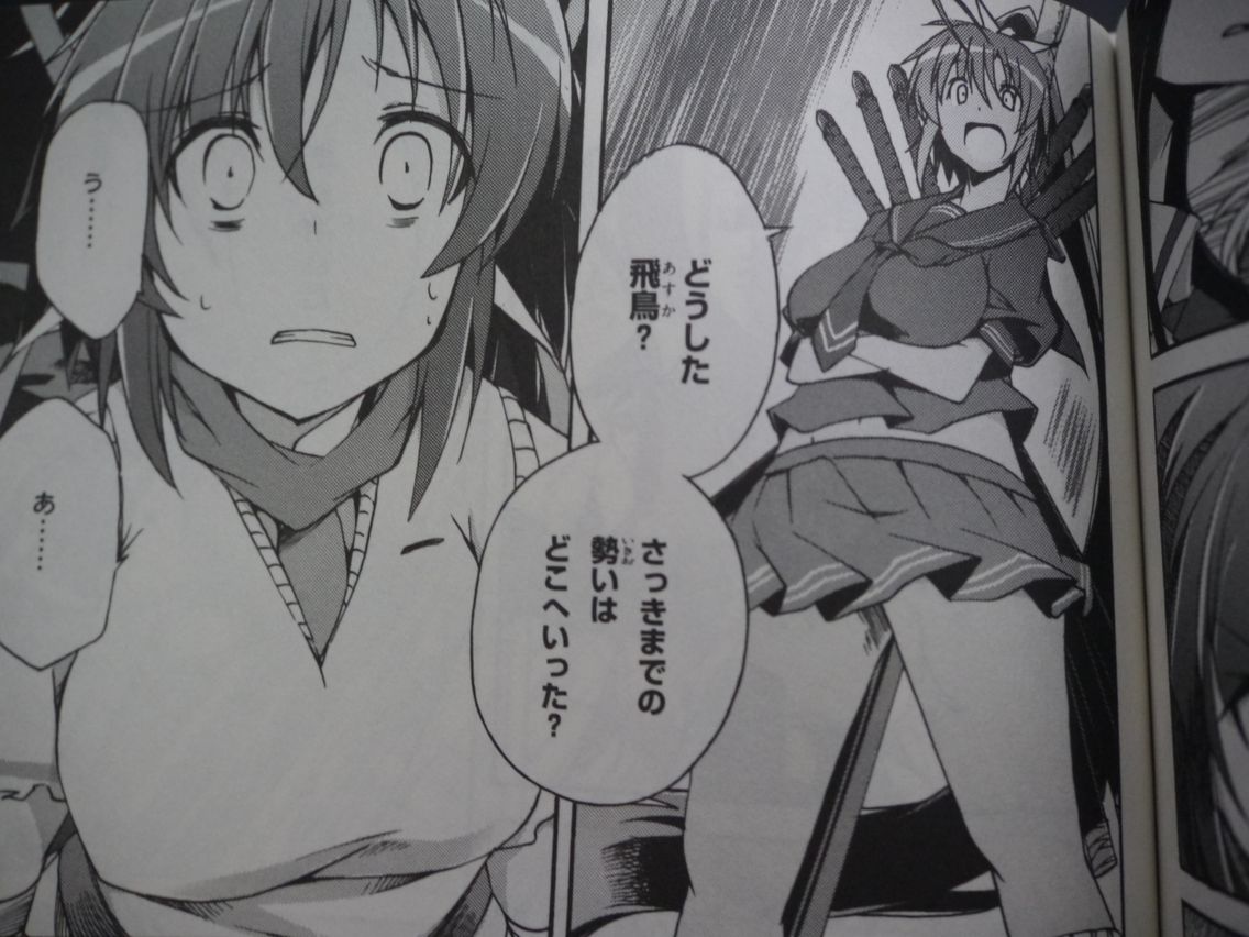 新刊漫画 閃乱カグラ買いました 姫騎士と従者の日常 新刊漫画 閃乱カグラ買いました 姫騎士と従者の日常