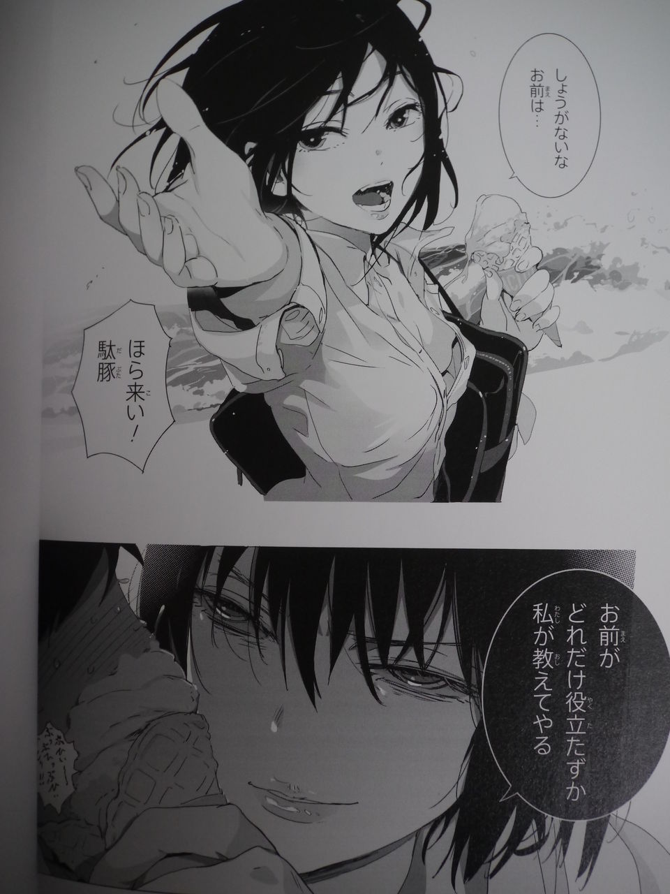 漫画 罵倒少女購入出来ましたっ 歓喜 姫騎士と従者の日常 漫画 罵倒少女購入出来ましたっ 歓喜 姫騎士と従者の日常
