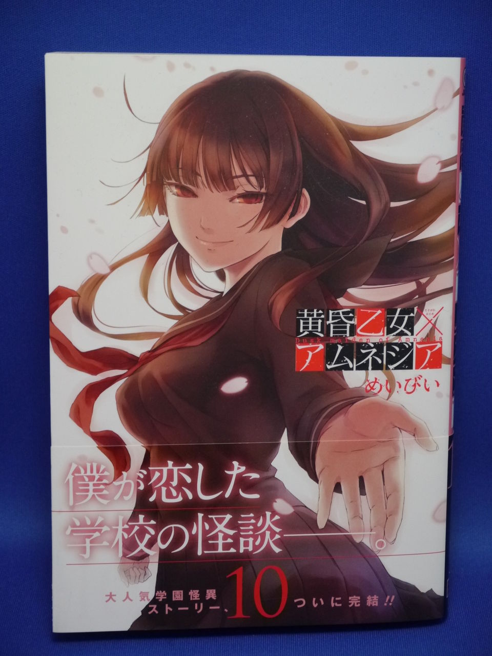 新刊漫画 黄昏乙女 アムネジア 10巻購入 最終巻 姫騎士と従者の日常 新刊漫画 黄昏乙女 アムネジア 10巻購入 最終巻 姫騎士と従者の日常