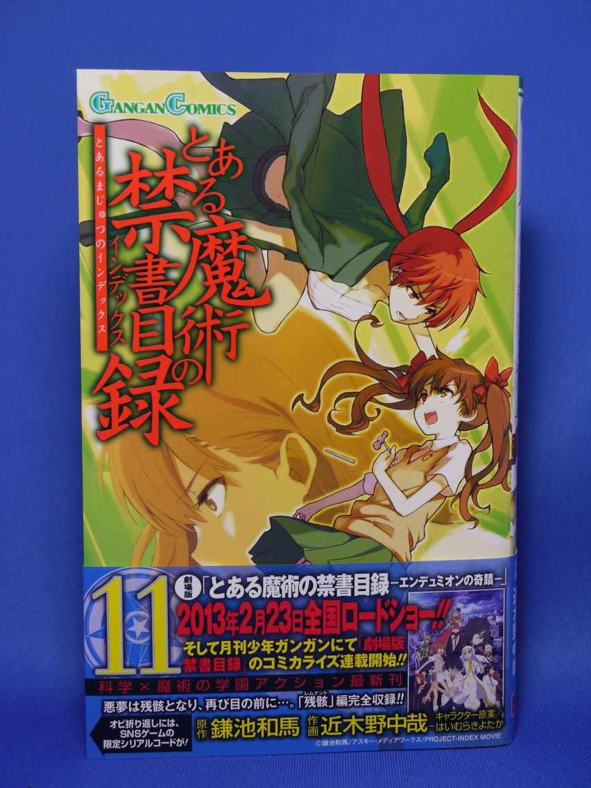 新刊漫画 とある魔術 不完全神性機関購入 姫騎士と従者の日常 新刊漫画 とある魔術 不完全神性機関購入 姫騎士と従者の日常