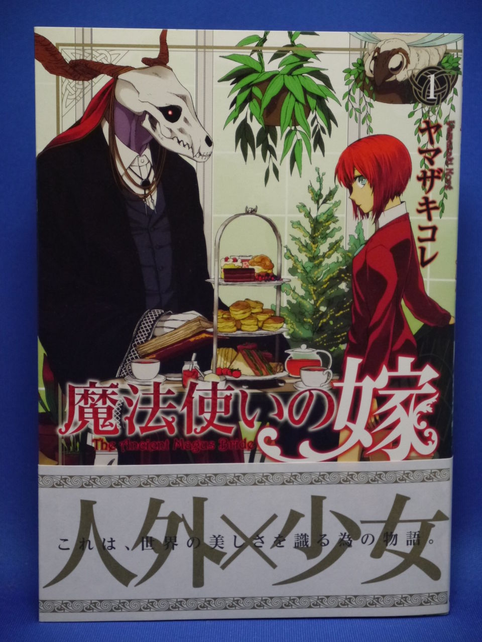 新刊漫画 魔法使いの嫁 １巻購入 姫騎士と従者の日常