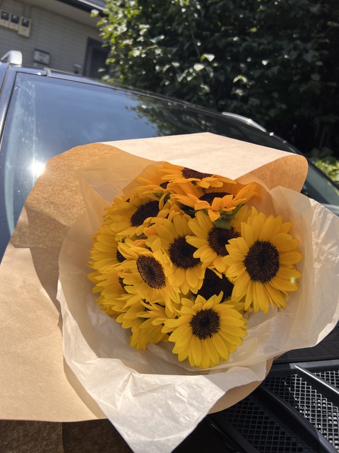 7DB7E90B-60C5-46DD-89D3-5DDFB028301C