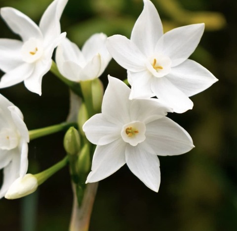 5FE69DA1-078C-4DB4-A6C0-CB7ABB9369A0