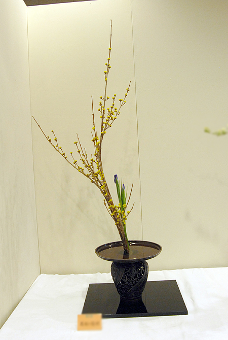 華道 置き月 龍生派 華泉好 箱・敷板付 華道 置き月 龍生派 華泉好 箱・敷板付 楽天市場】敷板 華道 花台 道具