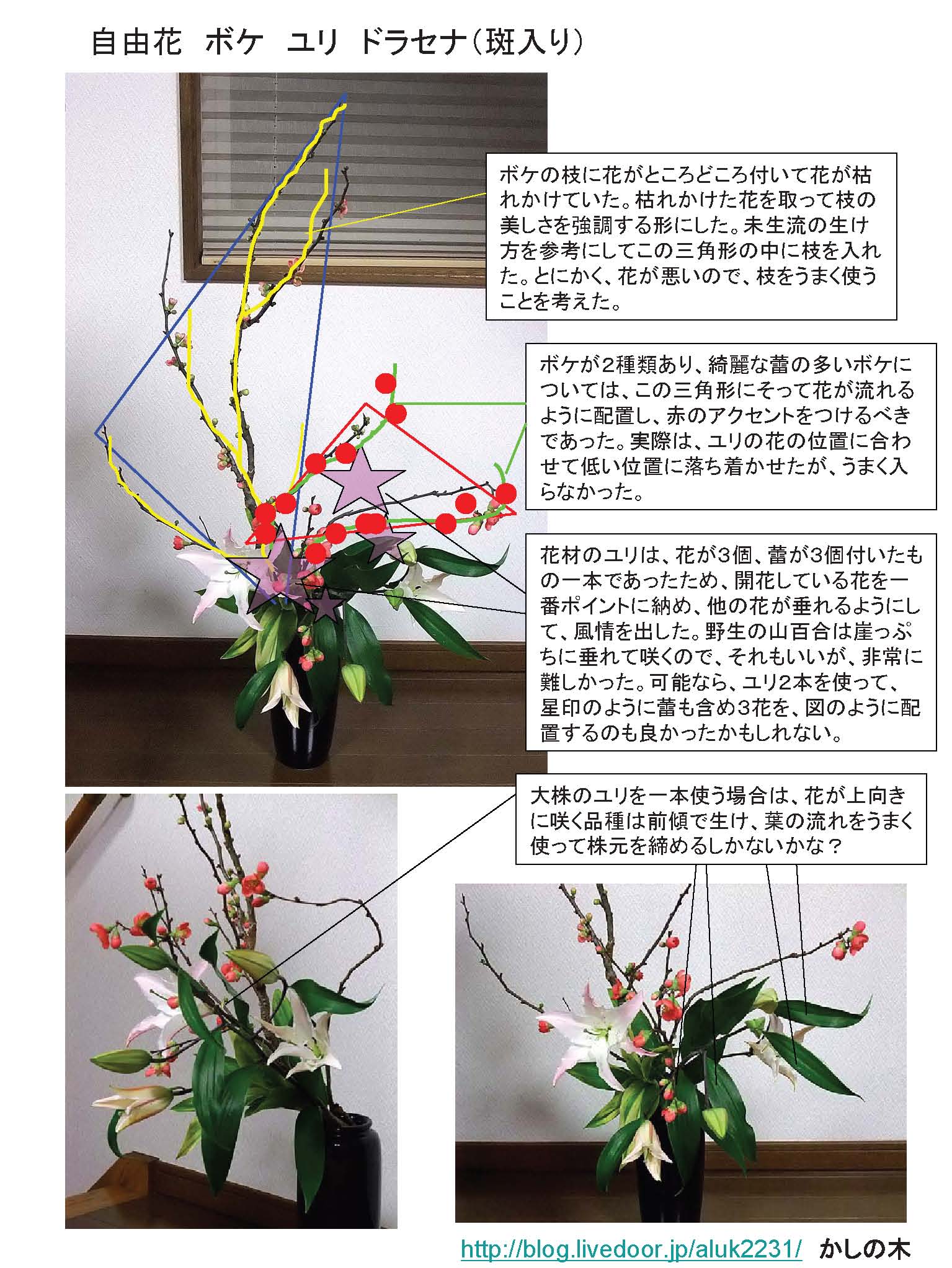 木瓜 ボケ の花は安閑と かしの木のたわごと 木瓜 ボケ の花は安閑と かしの木のたわごと