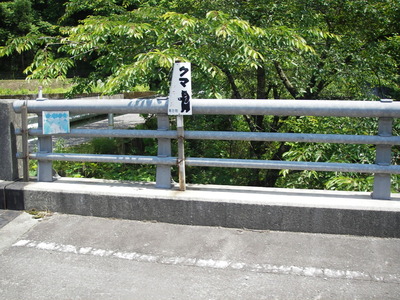 IMGP0985